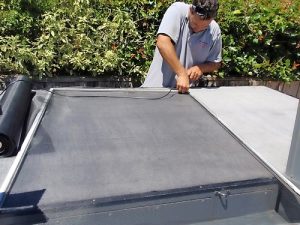 Make pests a thing of the past