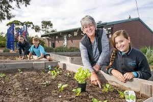 Top nosh on a shoestring