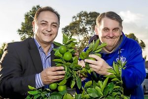 Gift that keeps on giving