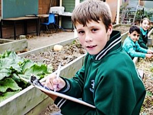 Thomastown businessman hails Jamie Oliver food revolution