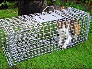 4 things to do around Hume and Whittlesea