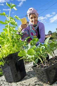 Residents plant a seed
