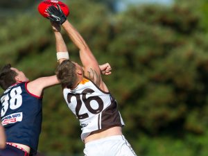 EDFL: Craigieburn beats Tullamarine and continues the winning run