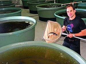 Epping: Melbourne Polytechnic shows the way to breed fish in a barrel