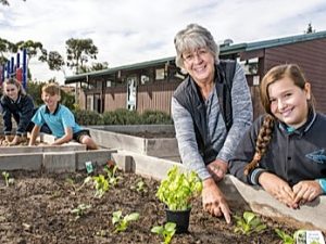 Tullamarine Primary School’s top nosh on a shoestring