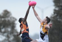 Calder Cannon and Dandenong Stingray