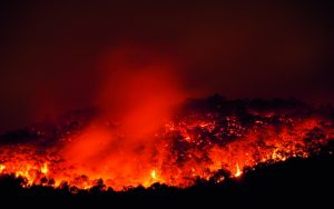 Still looking for answers