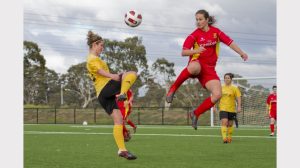 Bundoora United in race to WPL grand final