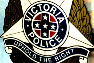 Thieves move in before owners