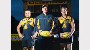 NFL: New life for Eagles