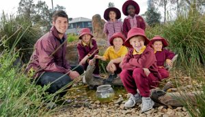 School’s in for Mernda bog frogs
