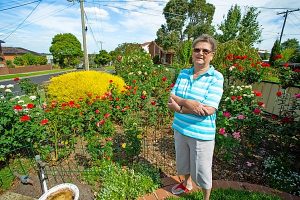 Whittlesea green thumbs dig a little competition
