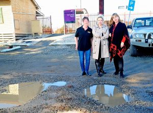 North trains ‘neglected’, says Yan Yean MP Danielle Green