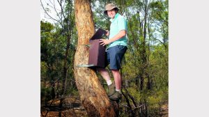 Plenty Gorge Park a vital wildlife sanctuary, survey finds