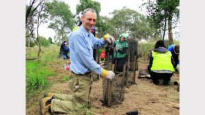 Quarry Hills bushland plan takes root