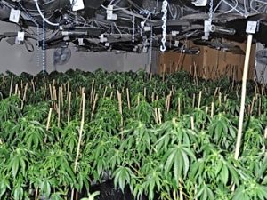 Doreen: McKenzie Way cannabis home owners vanish