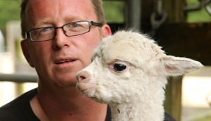 Alpacas in the mist: Northern stud puts the exotic into hobby farming