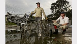 Need a trolley? Check Darebin Creek