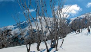 Falls Creek: It’s all downhill from here