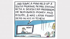 Alert on poisonous wild mushrooms