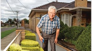 Celebrating Whittlesea’s best gardens