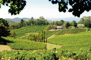 Tripping: Yarra Valley is not just about wine