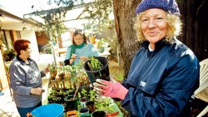 How their garden grows at Greenbrook