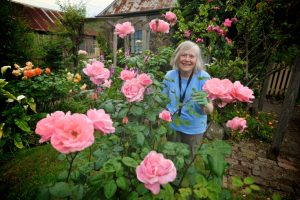‘Outback’ Thomastown rose garden’s deep historical roots