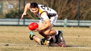 Gallery | EDFL: Westmeadows v Craigieburn