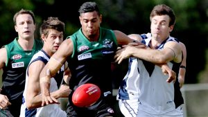 EDFL: McPhee laments fitness as Greenvale crashes again