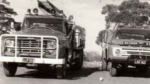 Epping fireys celebrate colourful history, bright future | Gallery