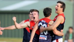 EDFL: Tullamarine v West Coburg semi-final | Photos