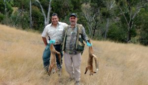 Time up for Plenty Gorge pests as Sporting Shooters embrace cull order 