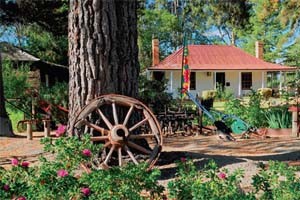 Tripping: Latrobe Valley’s gems among the coal