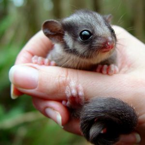 A matter of life and death