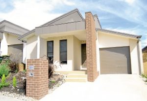 29 YELLOWBOX AVENUE,