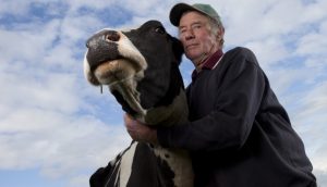 Last man standing: Whittlesea’s only surviving dairy farmer