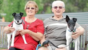 South Morang retirement village embraces puppy love