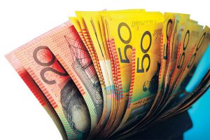 Fines double as Whittlesea streets go to the dogs