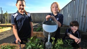 Doreen’s Katandra estate: A place for green thumbs to get together