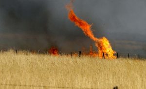 Mickleham Kilmore bushfire recovery review