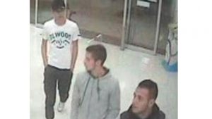 Thomastown molotov attacks: Police seek information from public