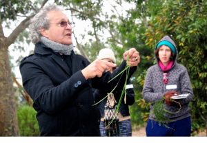 Bundoora: Scarred trees at  RMIT campus a powerful symbol