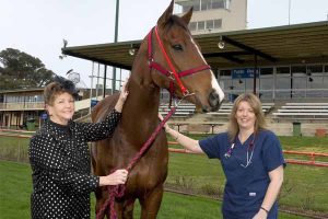 Saddling up for Northern Hospital