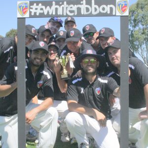 Players unite to fight domestic violence