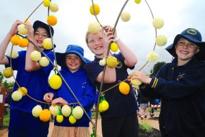 Whittlesea students caring for community lemon trees