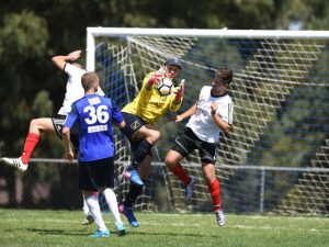 Mill Park thrives on a Sporting merger