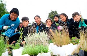 Class of green thumbs at Meadows Primary School