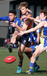 Calder Cannons returnee claims medal