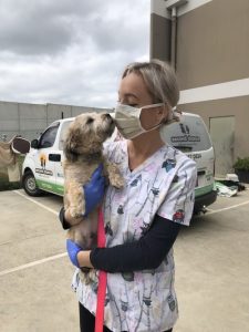 Drive-through vet keeps pets healthy